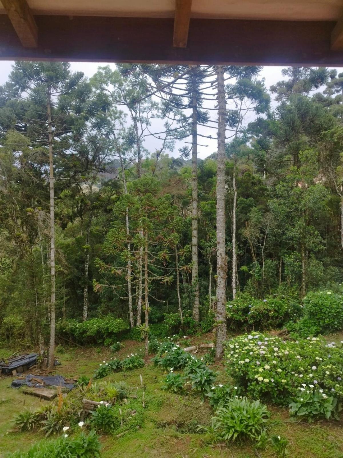 A Casa Da Vovo Chi Casa de férias